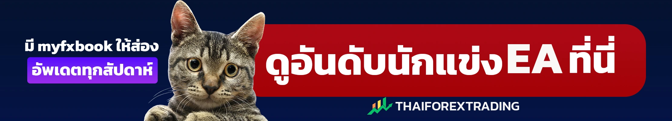 ดูอันดับนักแข่ง ea