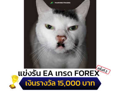 แข่งรัน eaเทรดforex ครั้งที่ 2