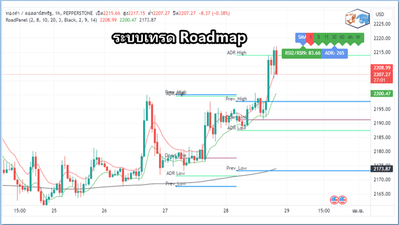 ระบบroadmap