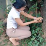 Biwtei